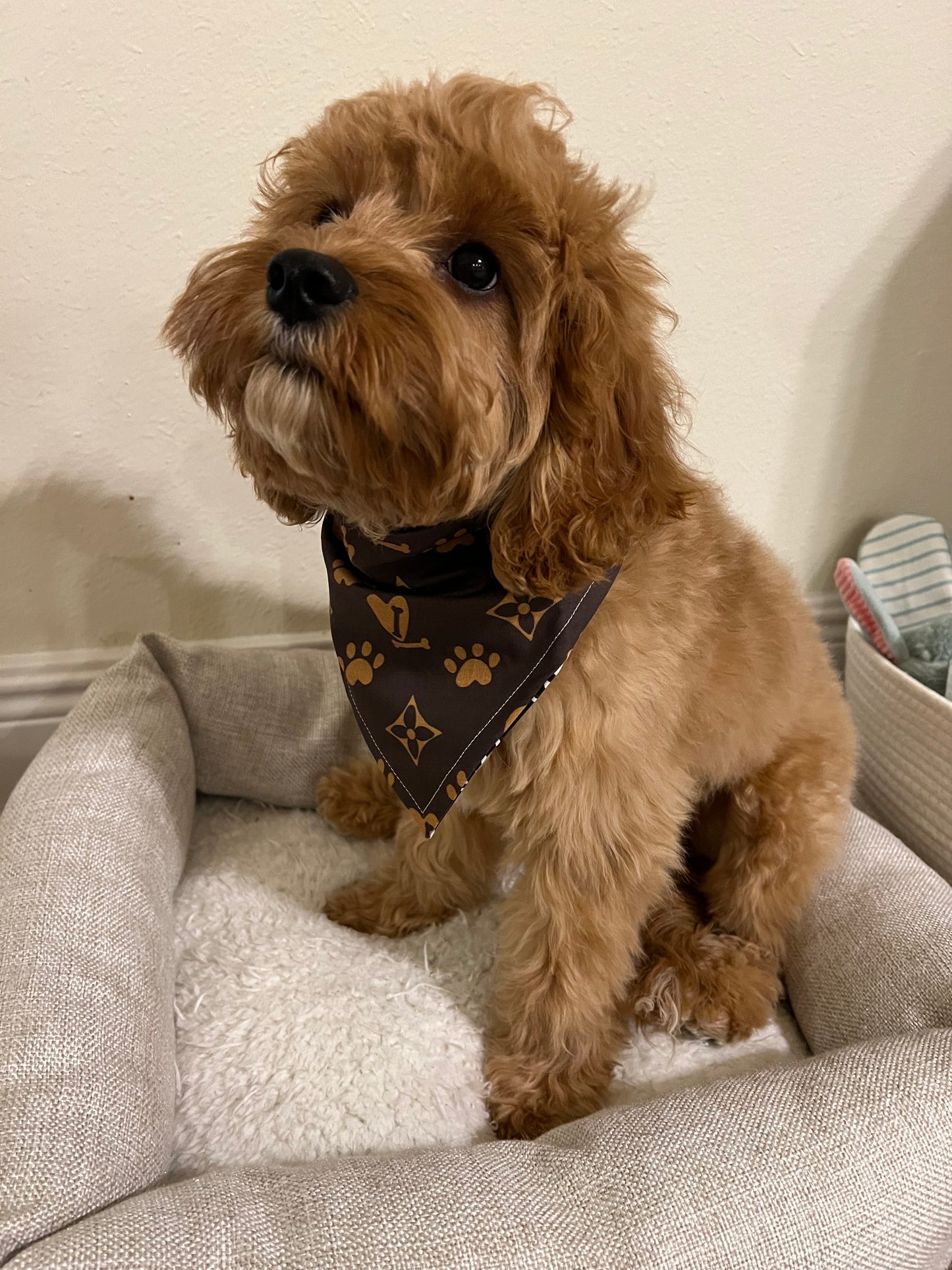 Chewy Vuitton & Chewnel Reversible Dog Bandana