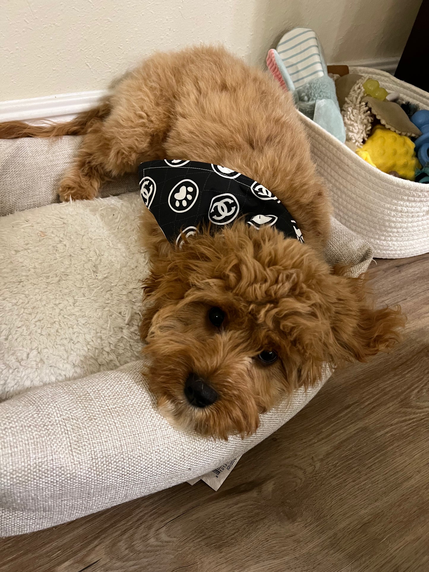 Chewy Vuitton & Chewnel Reversible Dog Bandana