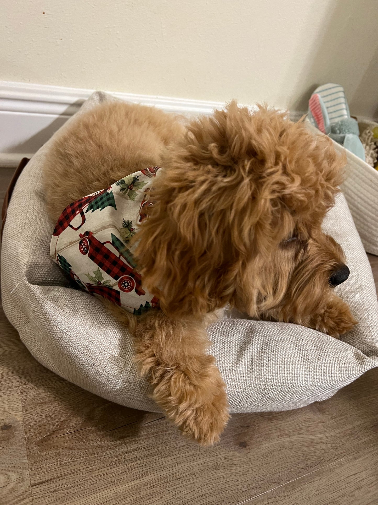 Christmas Trucks & Plaid Reversible Bandana